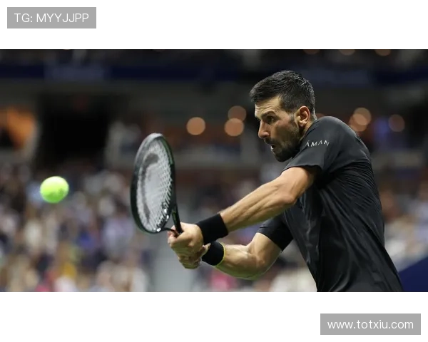 德约科维奇强势夺冠再创历史新纪录年轻一代能否打破网坛格局引热议 德约科维奇强势夺冠再创历史新纪录年轻一代能否打破网坛格局引热议