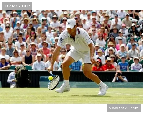 温布尔登网球锦标赛是在哪个国家举办的历史背景与现状解析