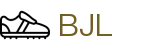 BJL平台(China)公司官网