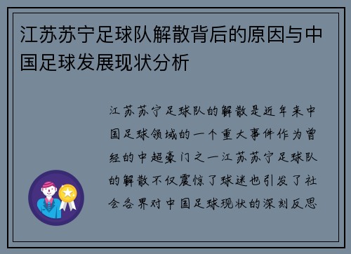 江苏苏宁足球队解散背后的原因与中国足球发展现状分析