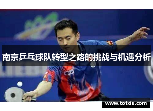 南京乒乓球队转型之路的挑战与机遇分析